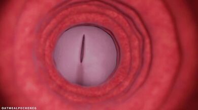 Krystal at the Nightclub: A Sexual Adventure