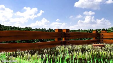 The Breeding Season Watch as these horny animals get it on and produce offspring in the wild!