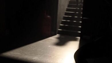 Evelynn's Bad Bitchery Exploits