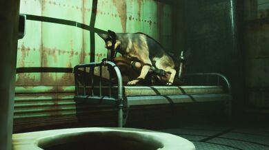 Galactic Fuck Worms Invade Earth and Fuck Anything in Sight: Maximum Penetration (Maxp) Episode 147