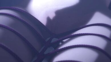 Two Vibrators and Bondage: A Threesome of Pleasure