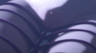 Two Vibrators and Bondage: A Threesome of Pleasure