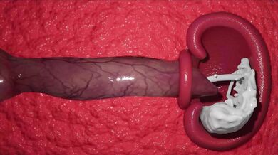 [New] Claire Redfield - Uncut & Extended