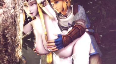 The Legend of Zelda's Sexual Mashup