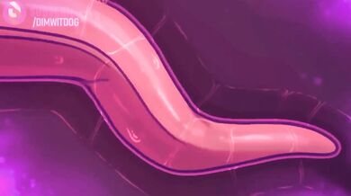 Female Domination Overload