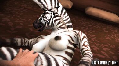 The Last Ride to Zahira's Pleasure Palace