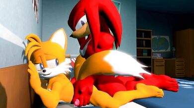 Knuckles X Tails: A Sonic the Hedgehog Gangbang Adventure