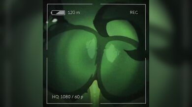 Furry Fuckers: MalO 1.0.0 App Download Now!