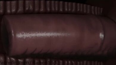 Dragon's Dominance: Raven's Ravishing Rapture