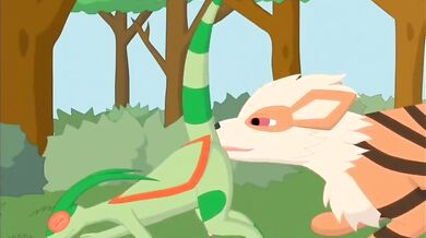 - Arcanine vs Flygon: Ultimate Battle