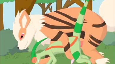 - Arcanine vs Flygon: Ultimate Battle