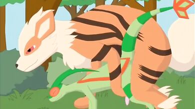 - Arcanine vs Flygon: Ultimate Battle