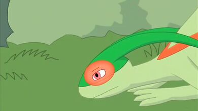 - Arcanine vs Flygon: Ultimate Battle