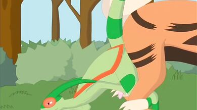 - Arcanine vs Flygon: Ultimate Battle