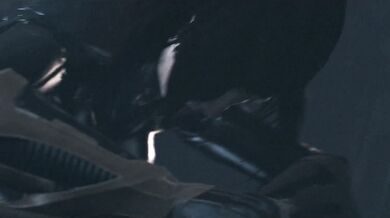 Horny Harley Quinn vs Futanari Poison Ivy [Gaping Pussies & Big Dicks]