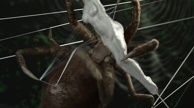 Imprisoned by the Gigantic Arachnid