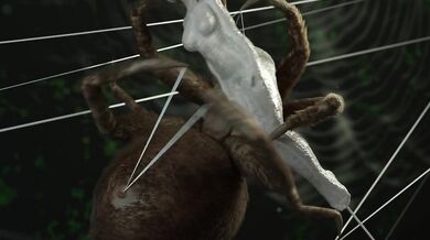 Imprisoned by the Gigantic Arachnid