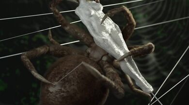 Imprisoned by the Gigantic Arachnid