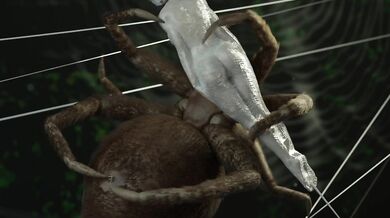 Imprisoned by the Gigantic Arachnid