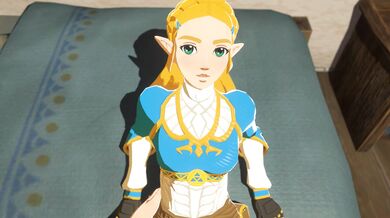 Fully Dressed Zelda in High Resolution, with a Familiar Twist