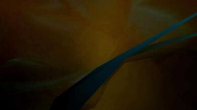 Sonic's Bestiality Adventures: The Monster Fucker Chronicles