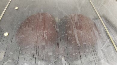 Reindeer Fucking in the Shower with a Lustful Pussy