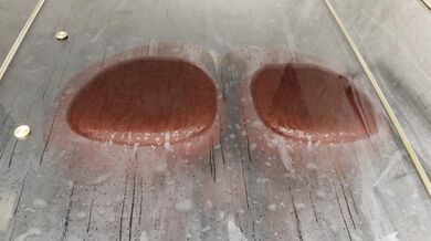 Reindeer Fucking in the Shower with a Lustful Pussy