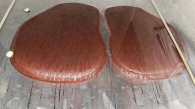 Reindeer Fucking in the Shower with a Lustful Pussy