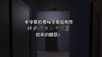 Brother Fucks His Little Sister in 'Sibling Relationship 03'