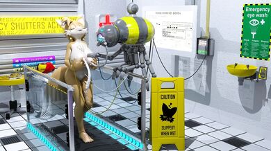 Futa Tails Eexxxammmm [anonnnnguyyyyy]