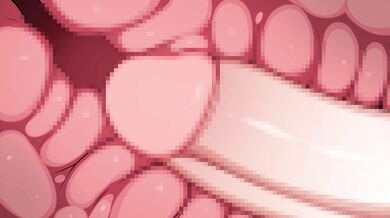 Sailor Celestial Gundam [Majestic]