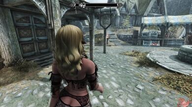 Whore of Whiterun's Public Spaces Episode II: A Rendezvous with the City Watch Commander
