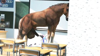 Marie Rose Gets Nailed by a Horse in 'Horse Video 138'