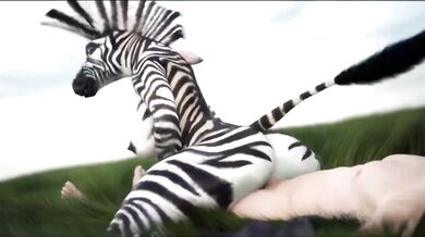 Zebra Gone Wild: An Animalistic Fling with a Curious Human Female