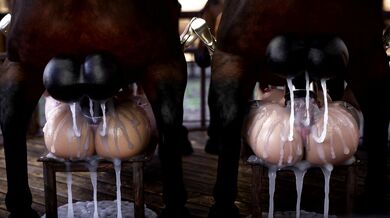 Two Chicks and a Dick: A Tale of Cooperation