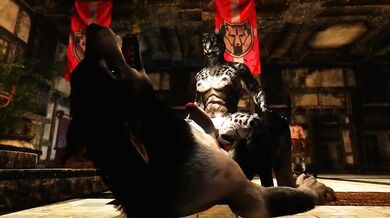 [MMOBoys/IXUM] Skyrim: Horny Khajiit Bitch Wants Coin Dumps