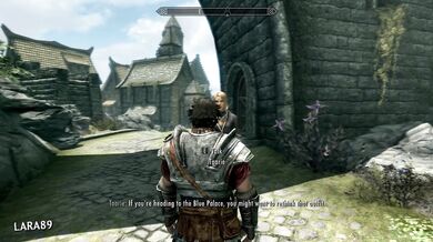 (Skyrim) Submissive Elf Tied Up and Degraded