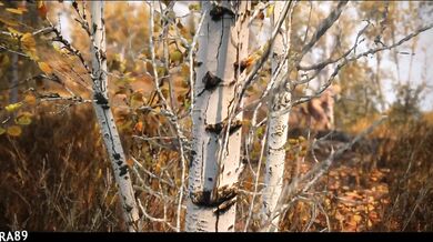 (Skyrim) The Secrets of Fucking Queen Marika