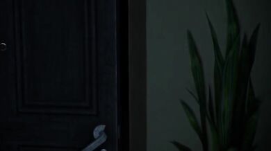 I'm in Your Home - The Complete Series (contains the episodes Breaking In, Sneak Attack, and The Ultimate Surprise)This hentai porn video is a collaborative effort between MethadosA and OpaluVA. The inspiration behind the video comes from MethadosA's ar
