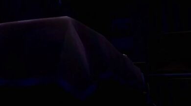 Bugging Out 24/7: Non-Stop Insect Action!