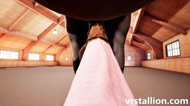 Pony Playground | Virtual Ride 'N' Joy with VR Stallion 2.1 Sim