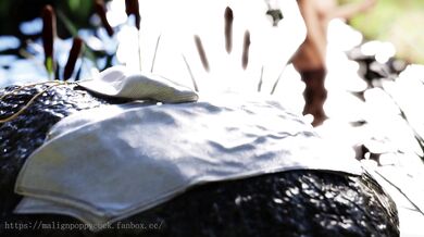 Worm Feast: A Malignant Poppycok-ing Experience