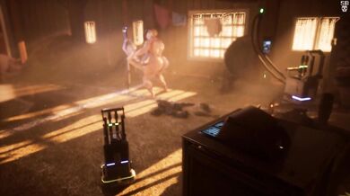 Sleepy B's Sexy Farm Fantasy