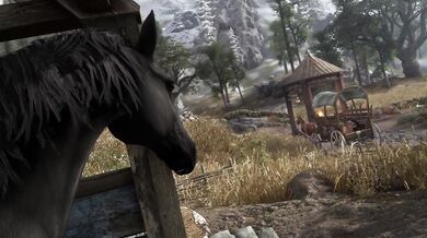 Dunmer Whorehouse