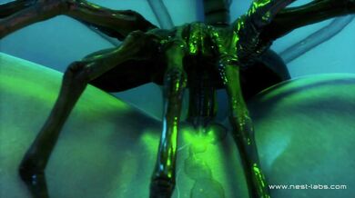 Tentacles and Alien Ra*pe: Aerith Gets Fucked by a Facehugger