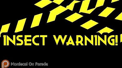 Vampire Knight's Seras Gets Tangled in a Sticky Web of Lustful Pleasure