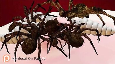 Vampire Knight's Seras Gets Tangled in a Sticky Web of Lustful Pleasure