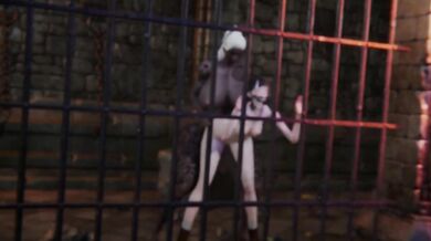 Futa Succubus Castle Prison Break: Episode I