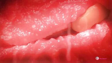 Pervita's Pussyful Pleasure