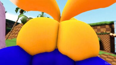 Sonic X Tails [Thordersfm] - A tale of two friends on a journey to find their place in the world, only to discover that their true desires lay with each other.